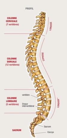 12834582_10153927873375539_1133225713_n